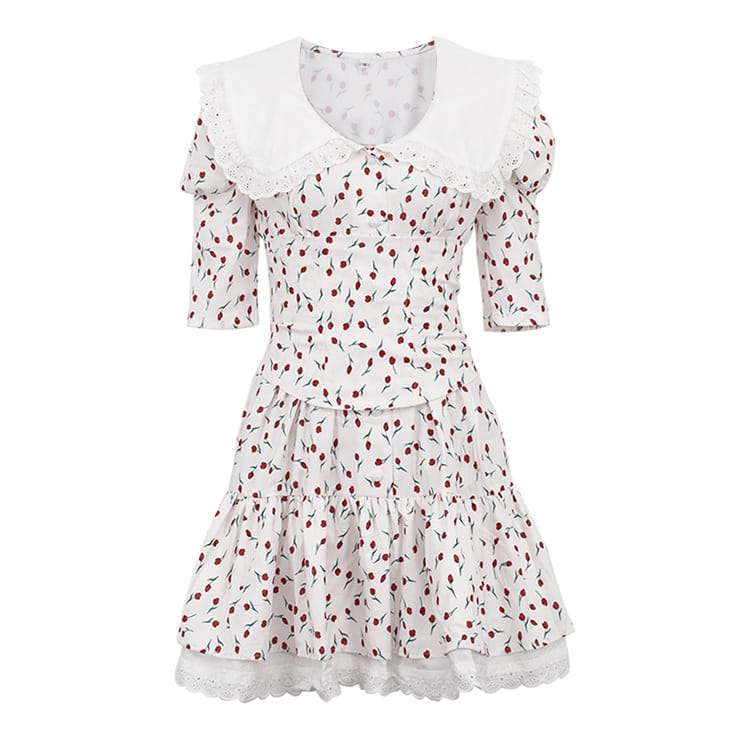 Peter Pan Collar Floral Short Sleeve Dress