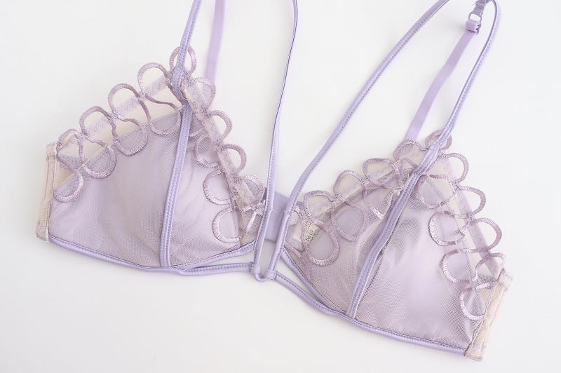 French Mesh Embroidered Bra Set - Triangle Cup Elegance