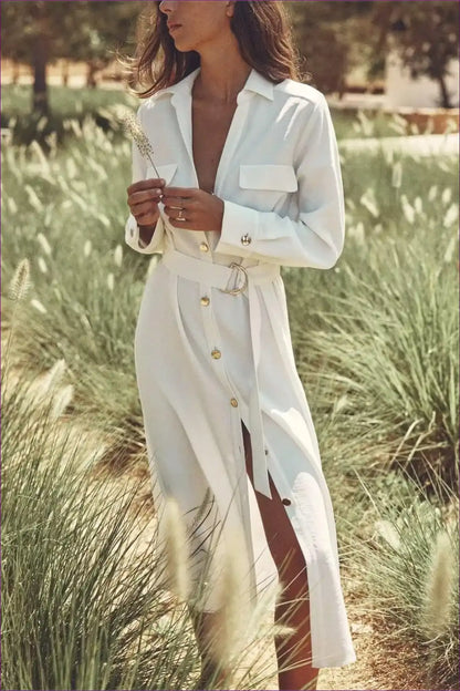 Collared Shirt Dress with Button Front and Belt Detail for Autumn, Casual, Everyday, Formal Wear,