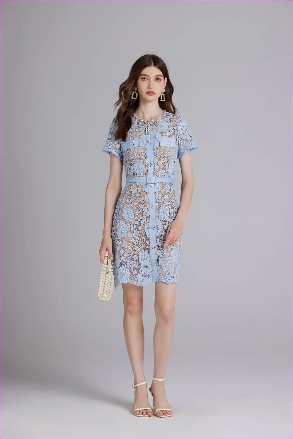 Light Blue Lace Overlay Dress ?? Elegant Sheer Perfection for Date Night, Dress, Elegant, Glamour, Honeymoon