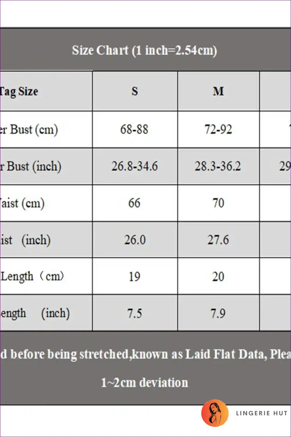 Three Piece Lingerie Set with Neon Mesh - Bold Bedroom Energy for Boudoir, Bra Set, Clubwear, Cutout, Garter